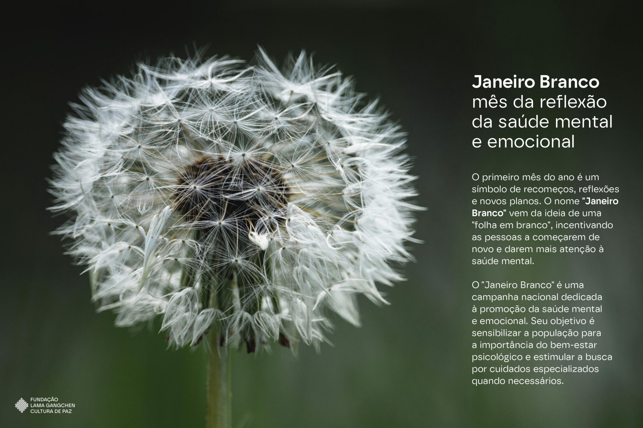 SITE_FLGCP_HOME_CARROSSEL_02