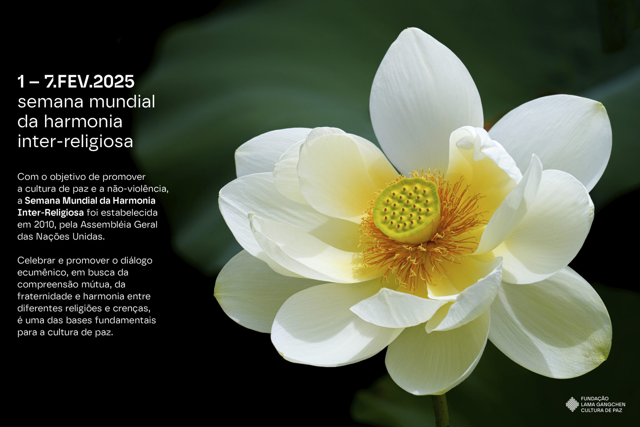 SITE_FLGCP_HOME_CARROSSEL_05