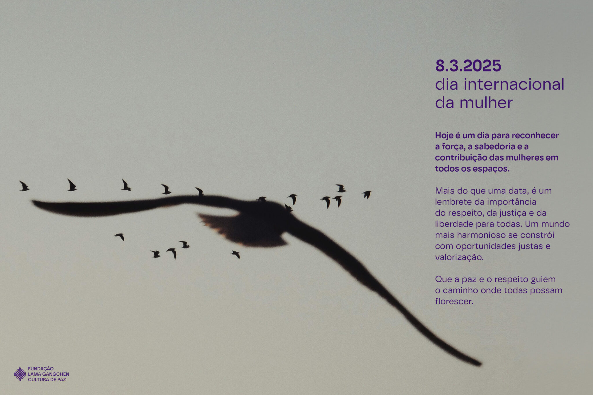 SITE_FLGCP_HOME_CARROSSEL_09