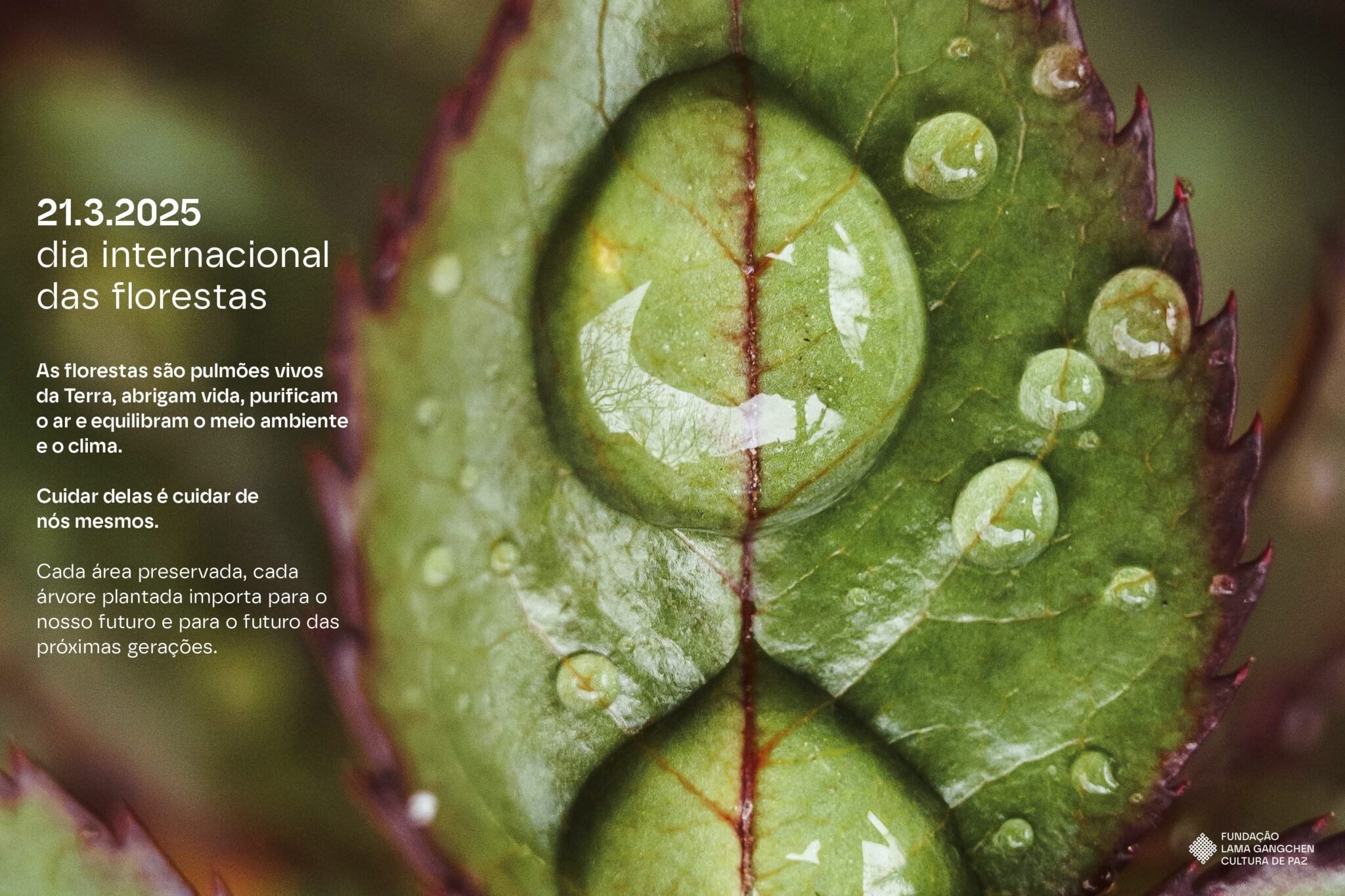 SITE_FLGCP_HOME_CARROSSEL_11